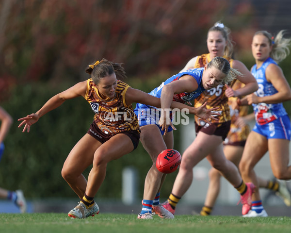 VFLW 2025 Round 06 - Box Hill Hawks v Western Bulldogs - A-59676354