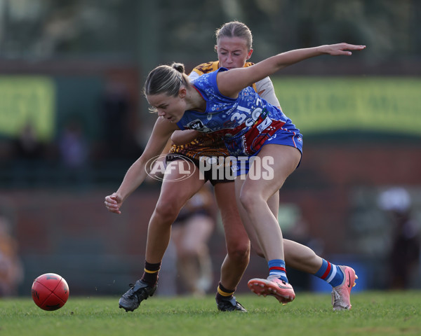 VFLW 2025 Round 06 - Box Hill Hawks v Western Bulldogs - A-59677844