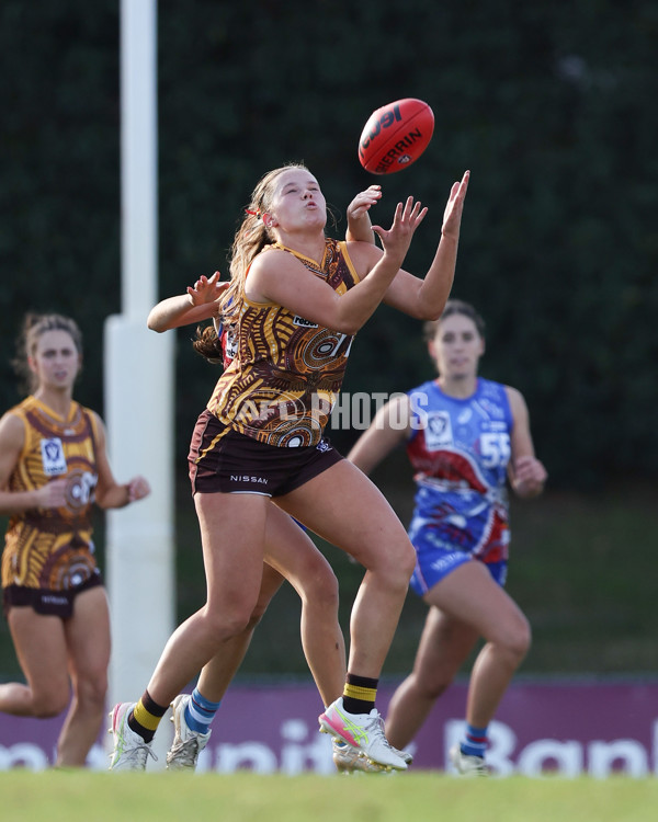 VFLW 2025 Round 06 - Box Hill Hawks v Western Bulldogs - A-59677850