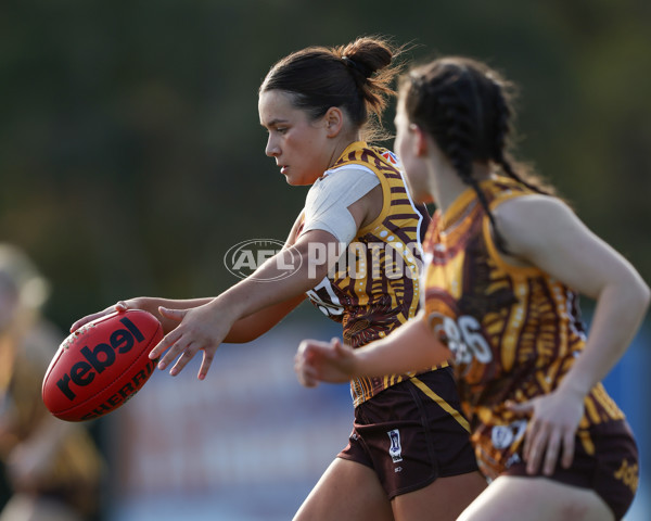 VFLW 2025 Round 06 - Box Hill Hawks v Western Bulldogs - A-59677852