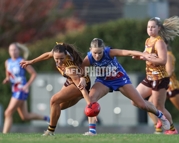 VFLW 2025 Round 06 - Box Hill Hawks v Western Bulldogs - A-59679207