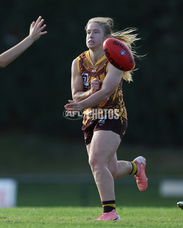 VFLW 2025 Round 06 - Box Hill Hawks v Western Bulldogs - A-59680809