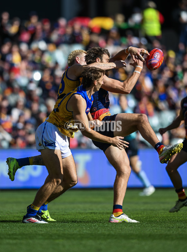 AFL 2025 Round 11 - Kuwarna v Waalitj Marawar - A-59681692