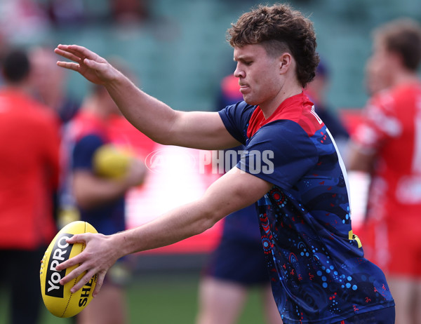 AFL 2025 Round 11 - Narrm v Sydney - A-59683613