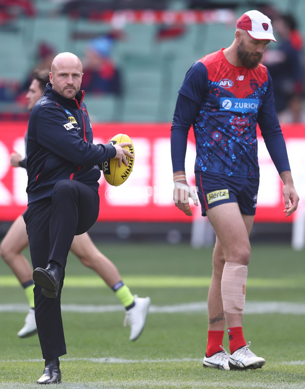 AFL 2025 Round 11 - Narrm v Sydney - A-59683616