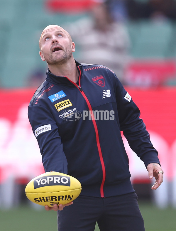 AFL 2025 Round 11 - Narrm v Sydney - A-59683618