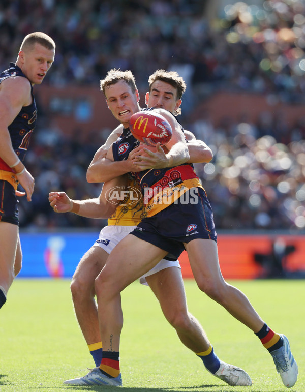 AFL 2025 Round 11 - Kuwarna v Waalitj Marawar - A-59688318