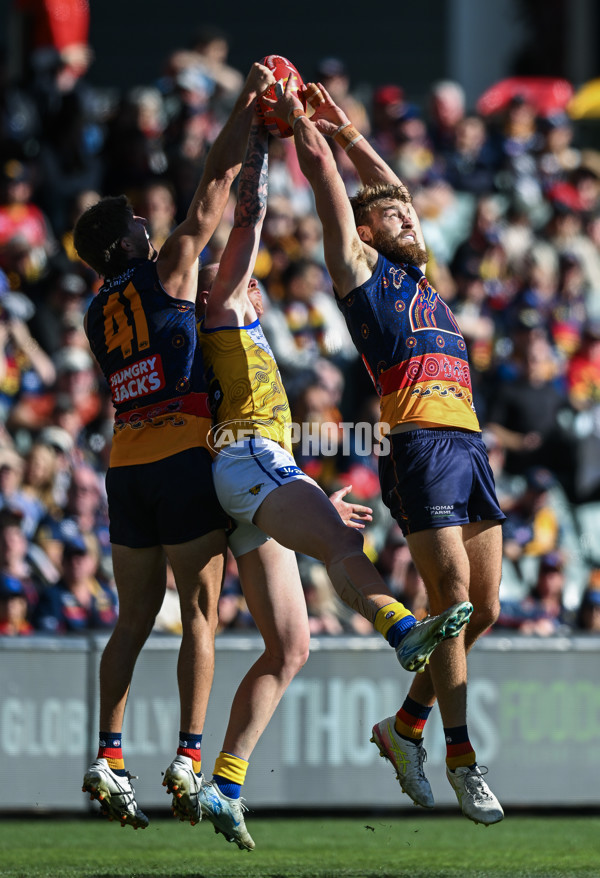 AFL 2025 Round 11 - Kuwarna v Waalitj Marawar - A-59688346