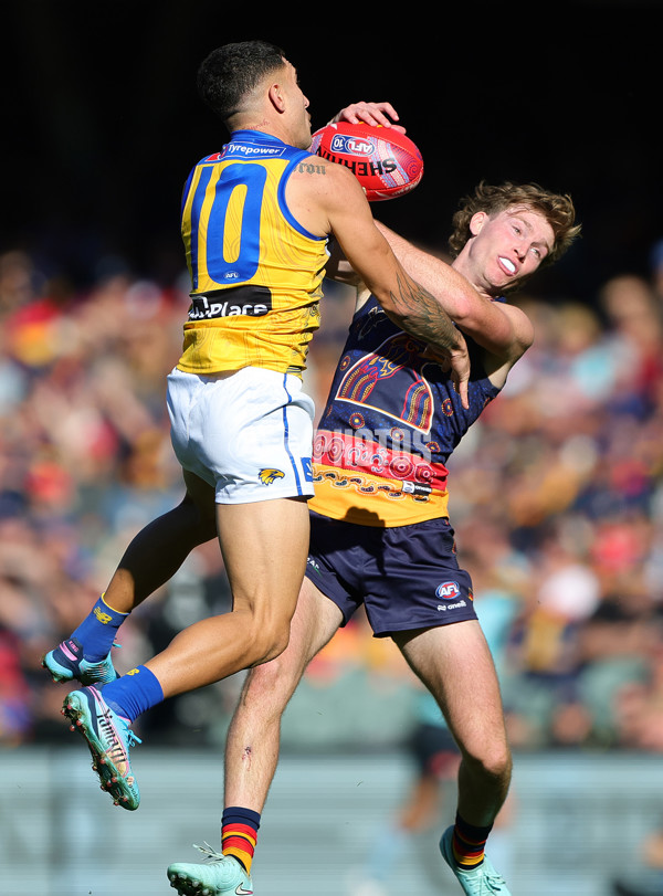 AFL 2025 Round 11 - Kuwarna v Waalitj Marawar - A-59689589