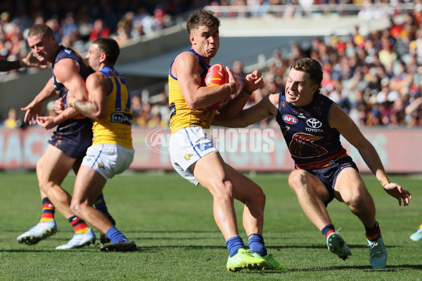 AFL 2025 Round 11 - Kuwarna v Waalitj Marawar - A-59690626