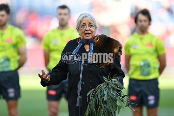 AFL 2025 Round 11 - Narrm v Sydney - A-59691933