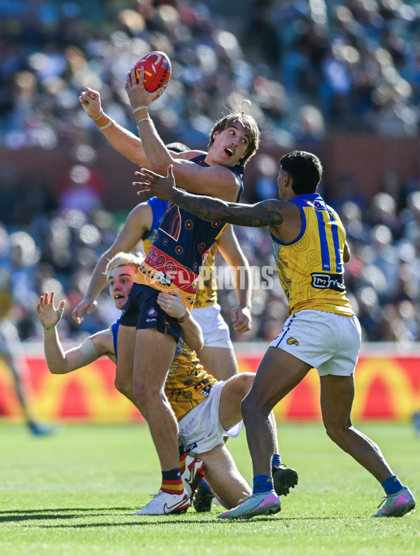 AFL 2025 Round 11 - Kuwarna v Waalitj Marawar - A-59691956