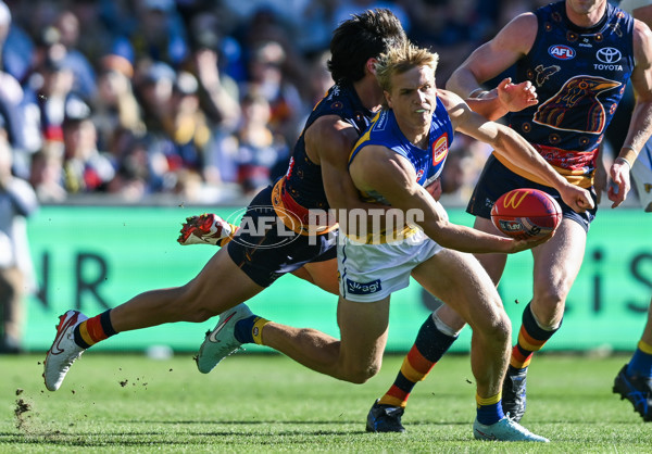 AFL 2025 Round 11 - Kuwarna v Waalitj Marawar - A-59691962