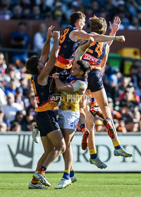 AFL 2025 Round 11 - Kuwarna v Waalitj Marawar - A-59694529