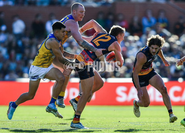 AFL 2025 Round 11 - Kuwarna v Waalitj Marawar - A-59697870