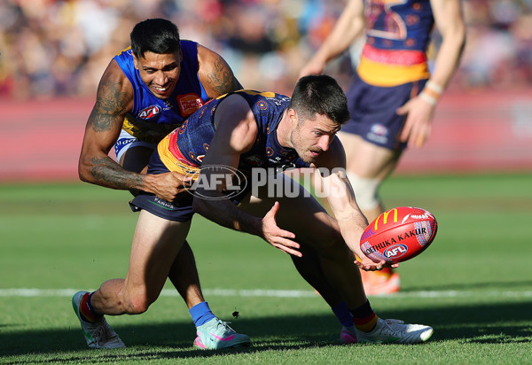 AFL 2025 Round 11 - Kuwarna v Waalitj Marawar - A-59701416