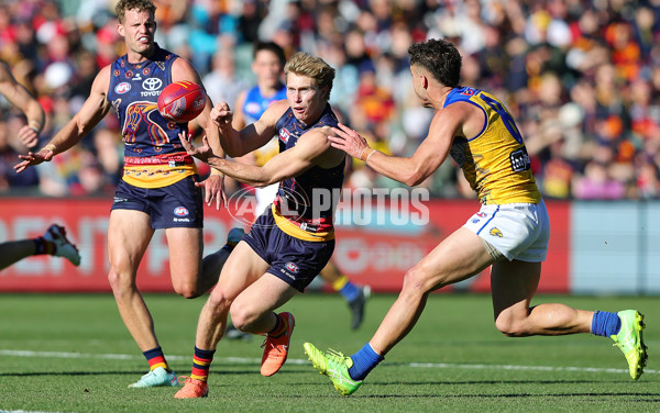 AFL 2025 Round 11 - Kuwarna v Waalitj Marawar - A-59702074