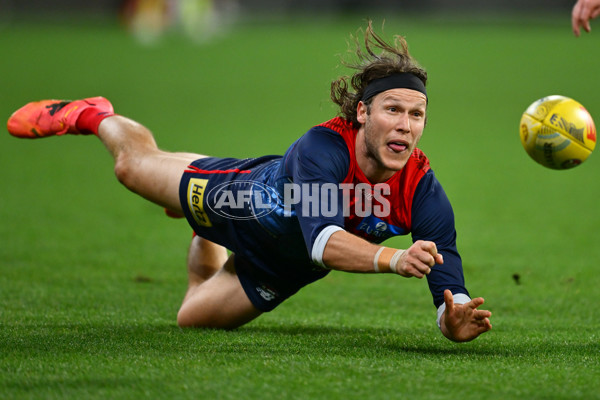 AFL 2025 Round 11 - Narrm v Sydney - A-59704896