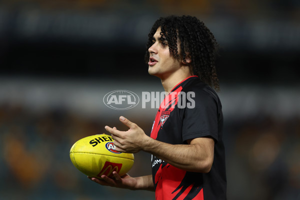 AFL 2025 Round 12 - Brisbane v Essendon - A-59718524