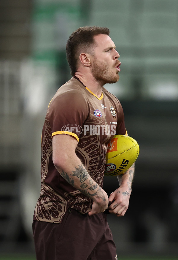 AFL 2025 Round 12 - Collingwood v Hawthorn - A-59737989