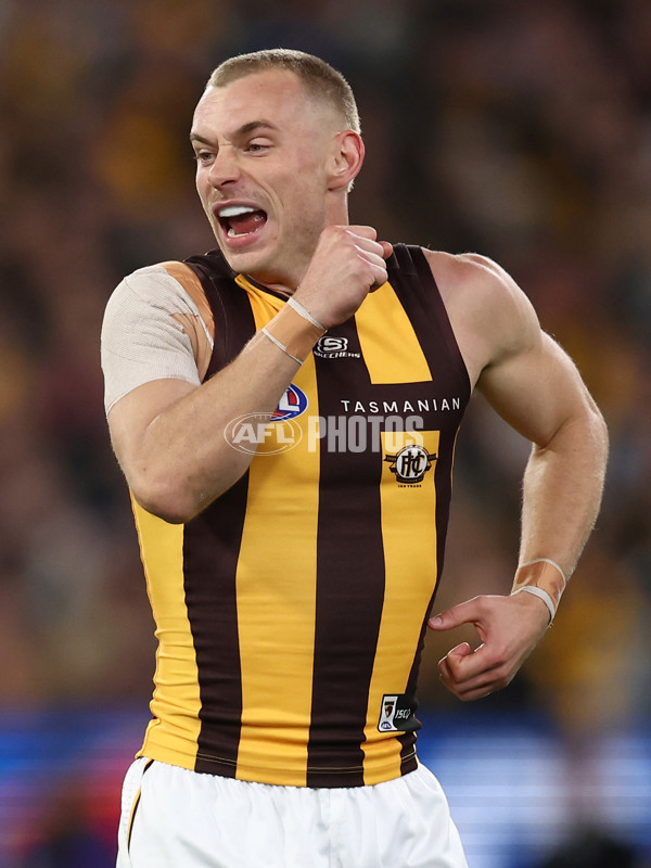 AFL 2025 Round 12 - Collingwood v Hawthorn - A-59739723