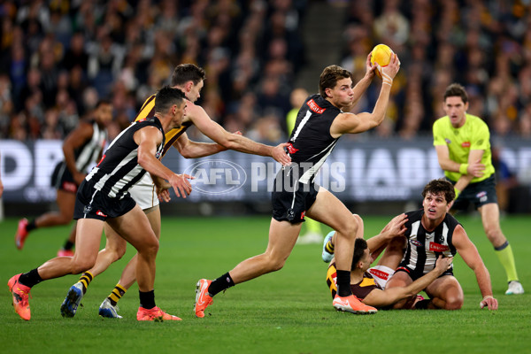 AFL 2025 Round 12 - Collingwood v Hawthorn - A-59739754
