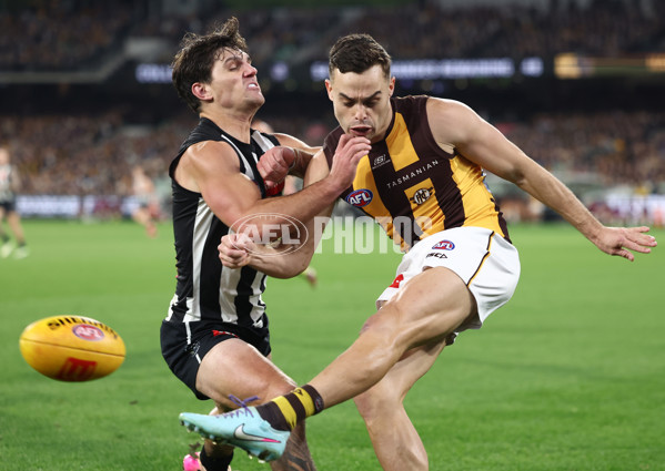 AFL 2025 Round 12 - Collingwood v Hawthorn - A-59739774