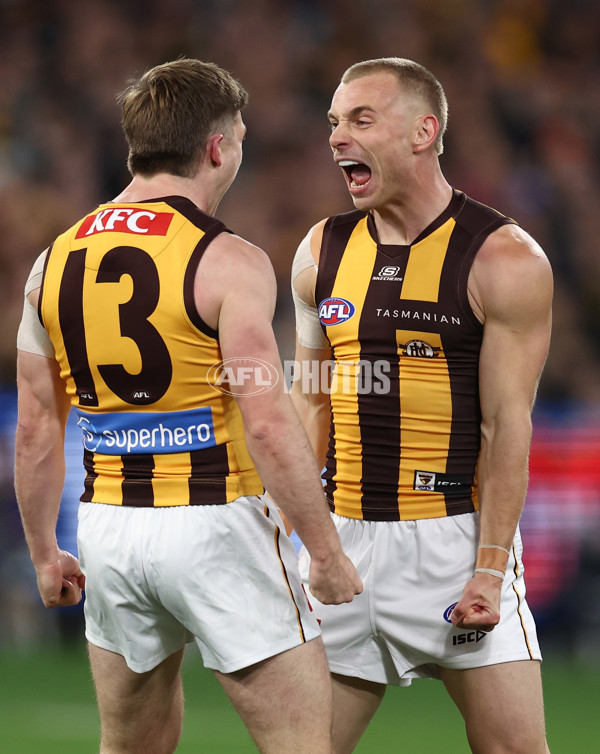 AFL 2025 Round 12 - Collingwood v Hawthorn - A-59740506