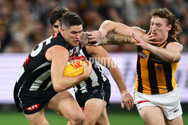 AFL 2025 Round 12 - Collingwood v Hawthorn - A-59740538