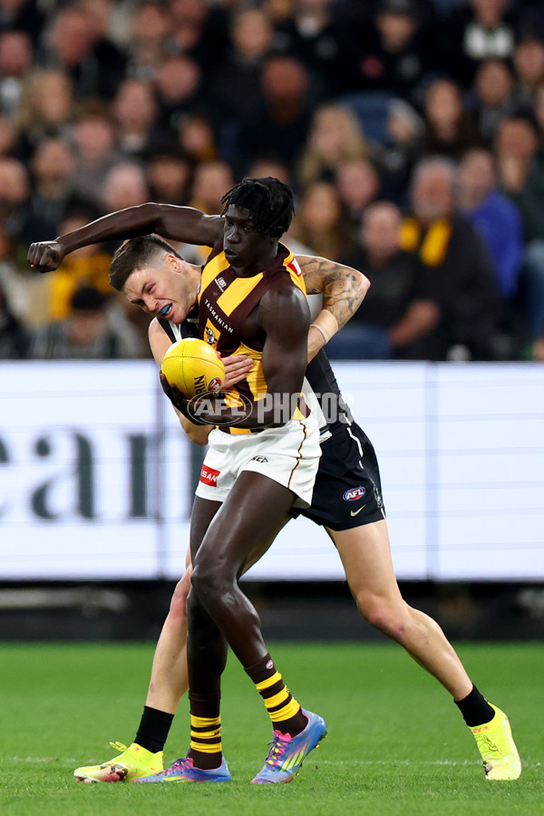 AFL 2025 Round 12 - Collingwood v Hawthorn - A-59740539