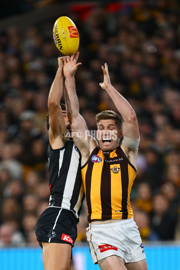 AFL 2025 Round 12 - Collingwood v Hawthorn - A-59740540