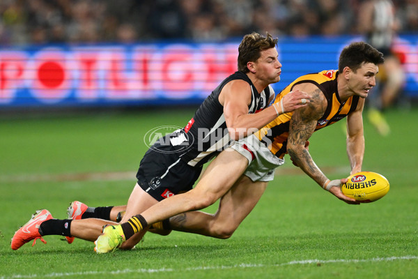 AFL 2025 Round 12 - Collingwood v Hawthorn - A-59740556