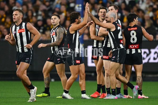 AFL 2025 Round 12 - Collingwood v Hawthorn - A-59742614