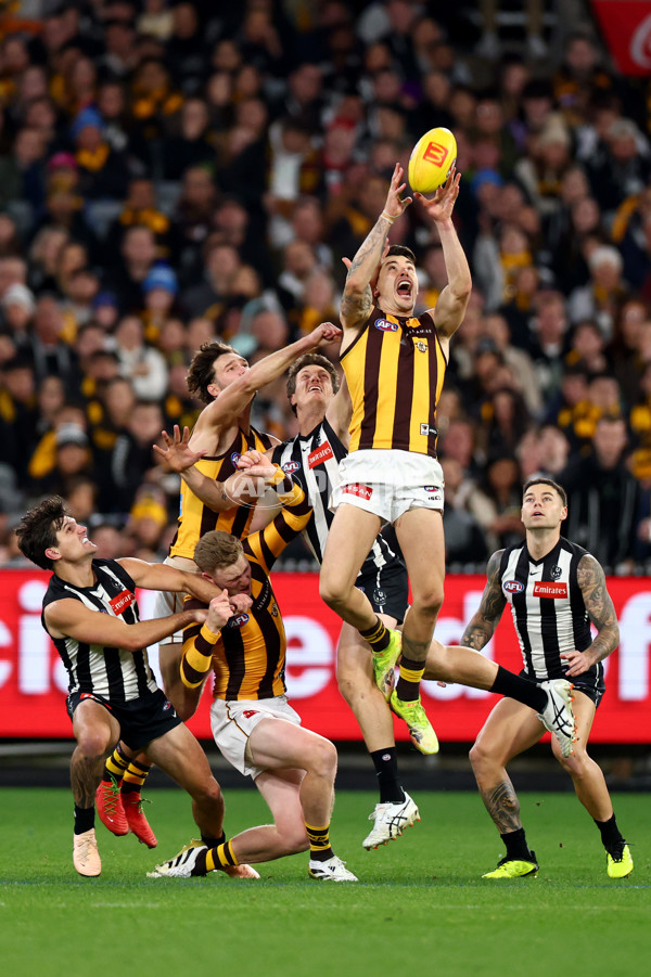 AFL 2025 Round 12 - Collingwood v Hawthorn - A-59742615