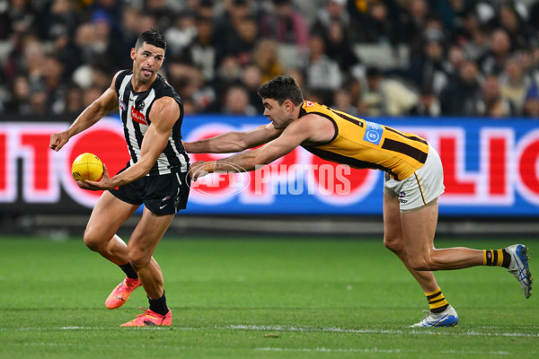 AFL 2025 Round 12 - Collingwood v Hawthorn - A-59742653