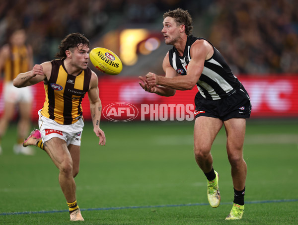 AFL 2025 Round 12 - Collingwood v Hawthorn - A-59742699