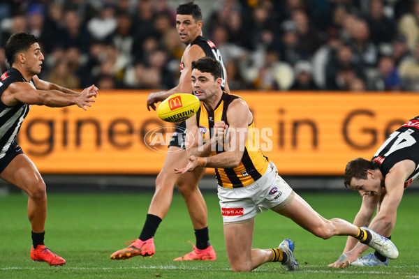 AFL 2025 Round 12 - Collingwood v Hawthorn - A-59743163