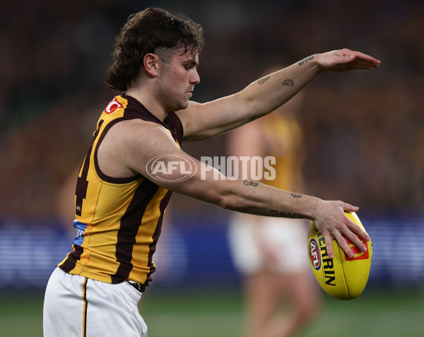 AFL 2025 Round 12 - Collingwood v Hawthorn - A-59743164