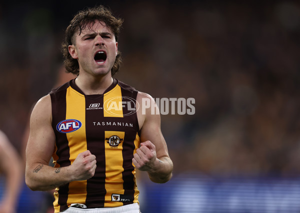 AFL 2025 Round 12 - Collingwood v Hawthorn - A-59743166