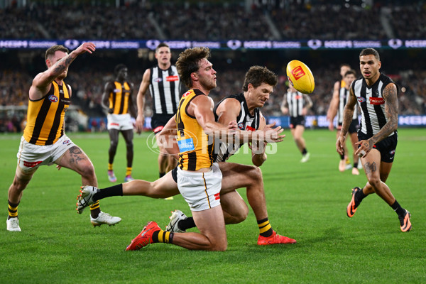 AFL 2025 Round 12 - Collingwood v Hawthorn - A-59743186