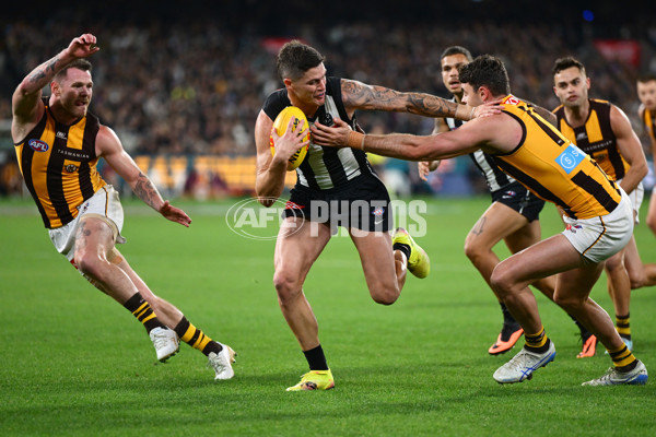AFL 2025 Round 12 - Collingwood v Hawthorn - A-59743189