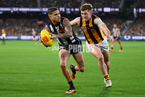 AFL 2025 Round 12 - Collingwood v Hawthorn - A-59743193