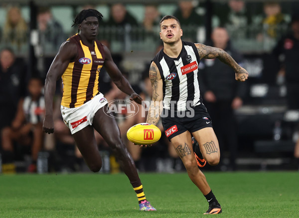 AFL 2025 Round 12 - Collingwood v Hawthorn - A-59743214