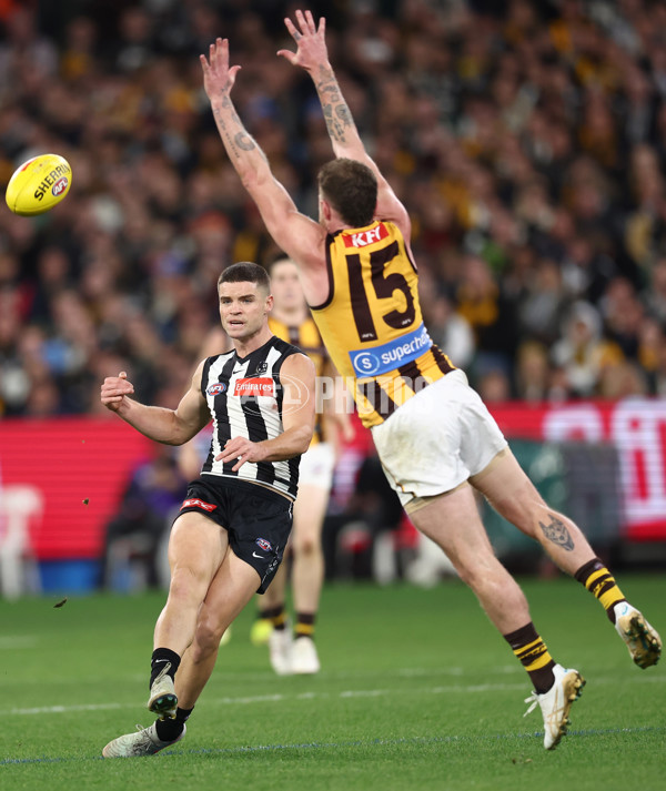AFL 2025 Round 12 - Collingwood v Hawthorn - A-59745448