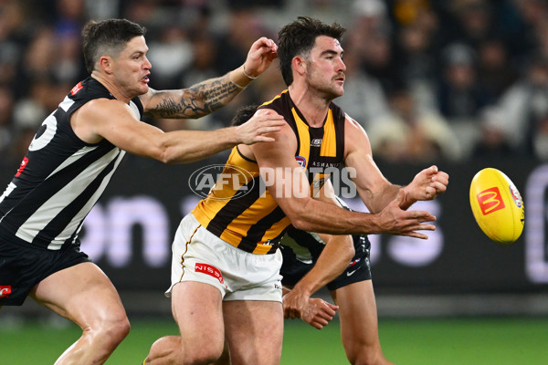 AFL 2025 Round 12 - Collingwood v Hawthorn - A-59745464