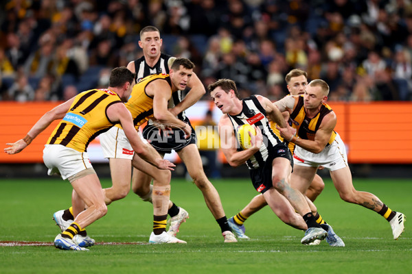 AFL 2025 Round 12 - Collingwood v Hawthorn - A-59745473