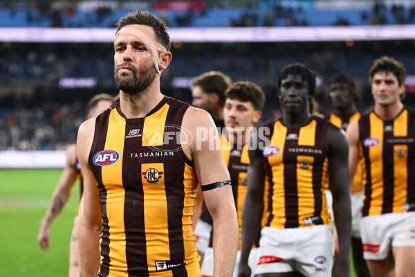 AFL 2025 Round 12 - Collingwood v Hawthorn - A-59745486