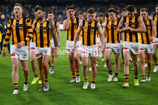 AFL 2025 Round 12 - Collingwood v Hawthorn - A-59745488