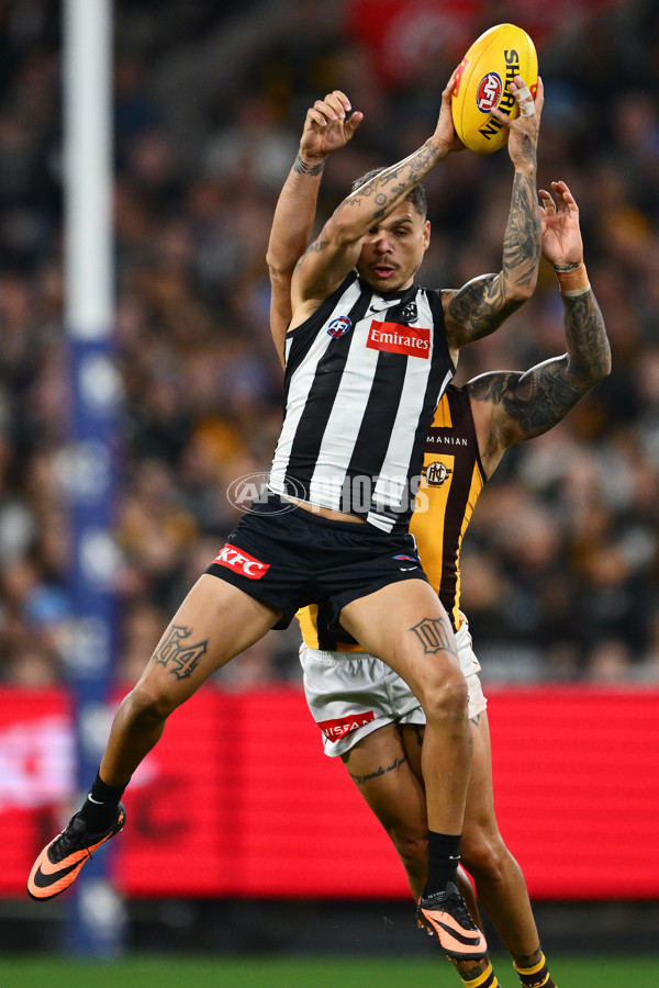 AFL 2025 Round 12 - Collingwood v Hawthorn - A-59745563