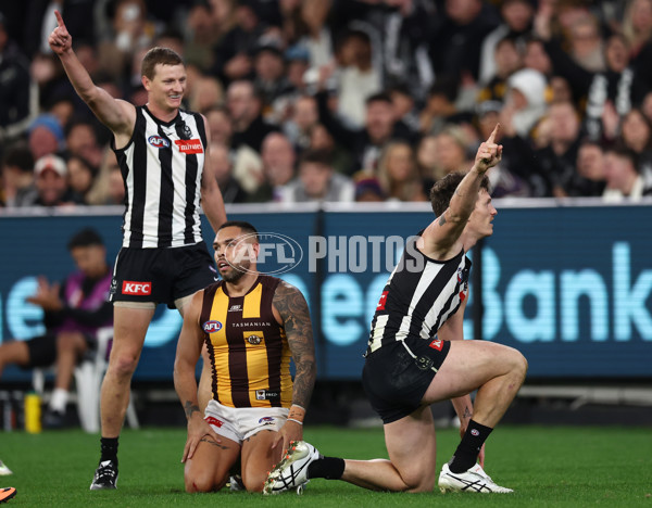 AFL 2025 Round 12 - Collingwood v Hawthorn - A-59745564
